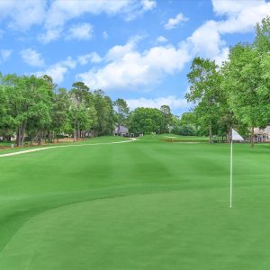 5 Coralvine Court | Grogan’s Mill - Featured Image